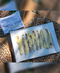 Filetes de anchoa de costera presentados con mantequilla