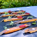 Tostas con anchoas de costera Pandereta y tomate